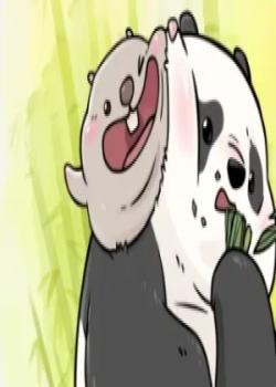 compañeros de bambu