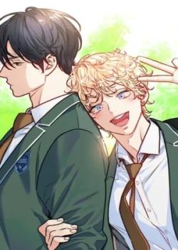 ¡El amor es una ilusión! - Superestrella