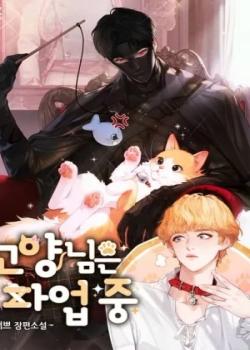 El gato está en huelga