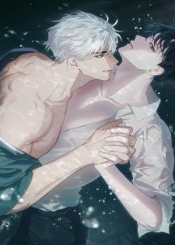 Leer Entre Sueños y Sombras