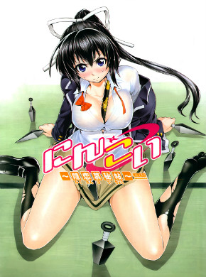 Ninkoi: Kakurenbo Hichou