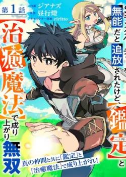 S Rank Party O Munou da to Tsuihou Sareta Kedo, Kantei to Chiyu Mahou De Nariagari Musou